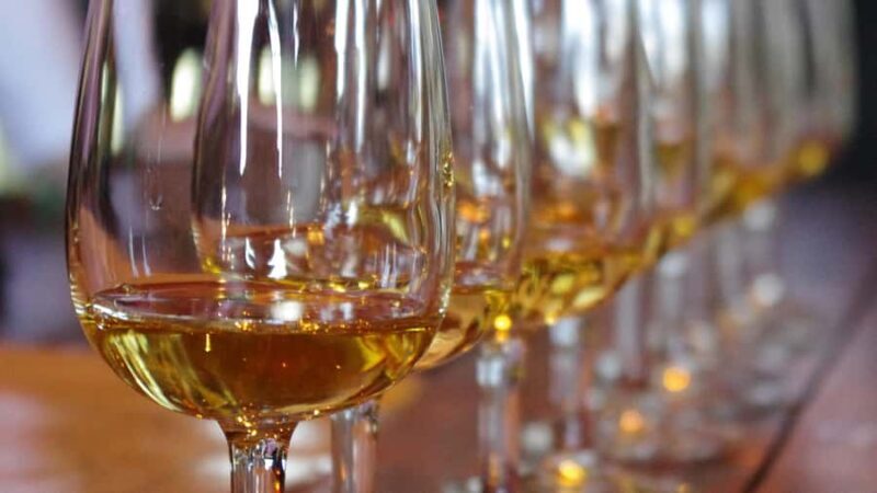 Waiheke Island Wine Tours - PREMIUM Wines - Max 11 clients ! - FAQ