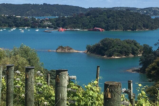 Waiheke Island Winery Tour - Key Points  