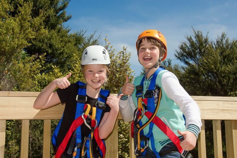 Waiheke Island: Zipline and Native Forest Adventure Trip - Key Points