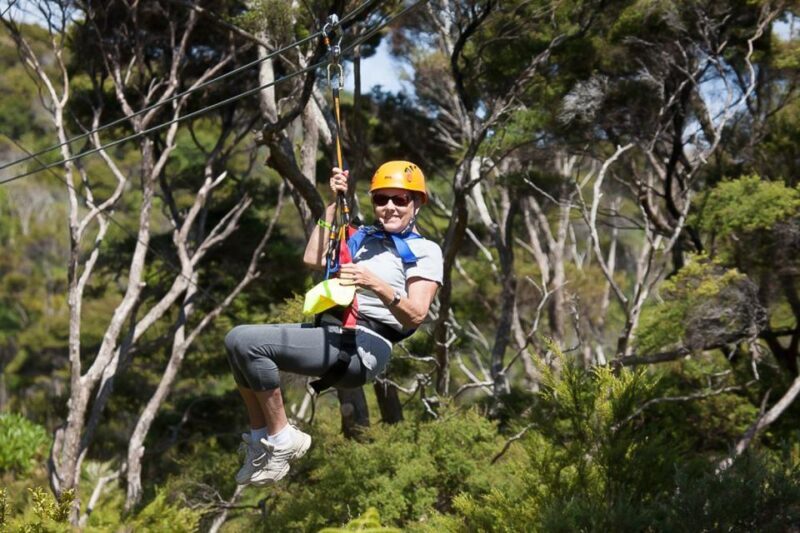 Waiheke Island: Zipline and Native Forest Adventure Trip - An In-Depth Look at the Waiheke Zipline Experience
