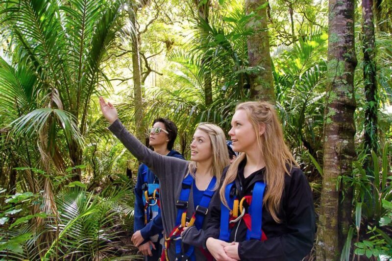 Waiheke Island: Zipline and Native Forest Adventure Trip - FAQs