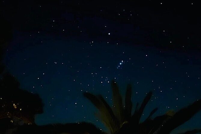 Waiheke Private Stargazing Tour Night Walk - Key Points