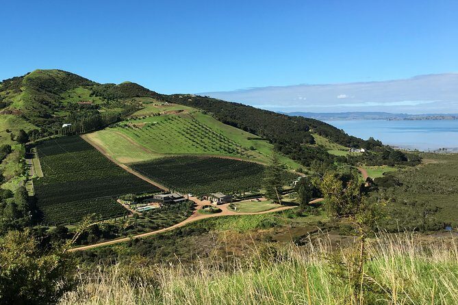 Waiheke Wine and Dine - Batch Winery - Final Thoughts
