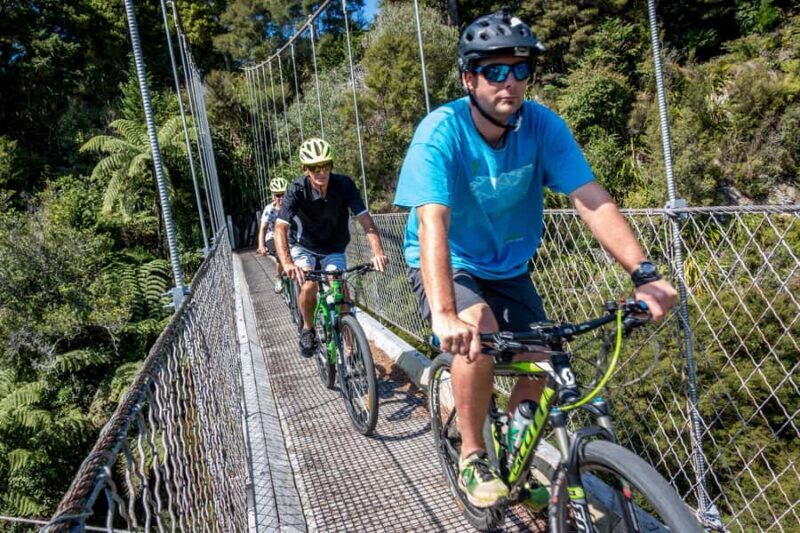 Waikato: Half-Day Karpiro River Trail Bike Tour - Key Points