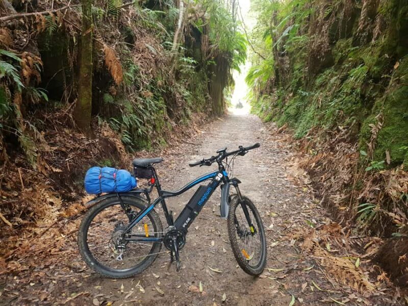 Waikato: Half-Day Karpiro River Trail Bike Tour - An Authentic Look at the Waikato: Half-Day Karapiro River Trail Bike Tour