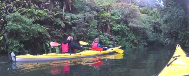 Waikato River: Glowworm Kayak Tour with Wine & Snacks - Practical Tips for a Great Experience