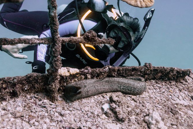 Waikiki 2 Tank World Class Wreck SCUBA Diving - Certified Only - FAQ