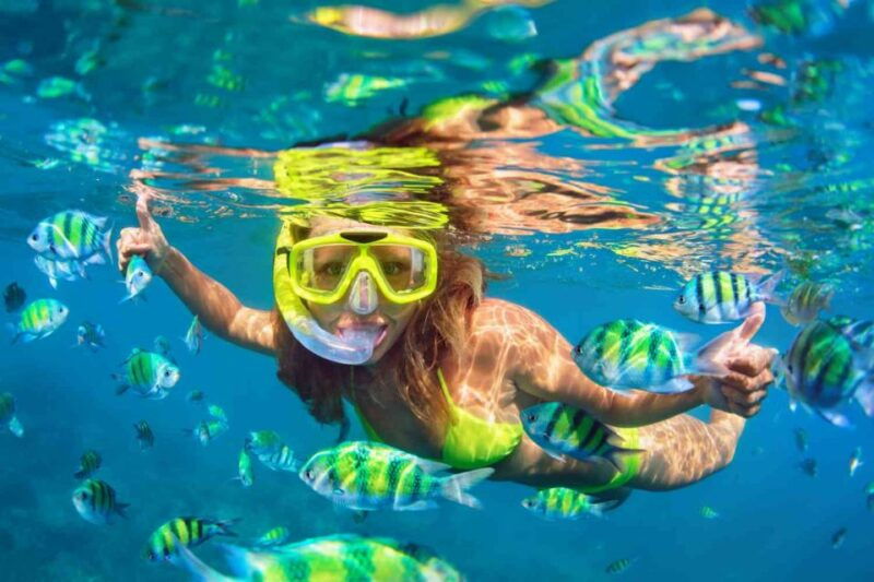 waikiki-5-in-1-turtle-snorkeling-trip-with-transfer
