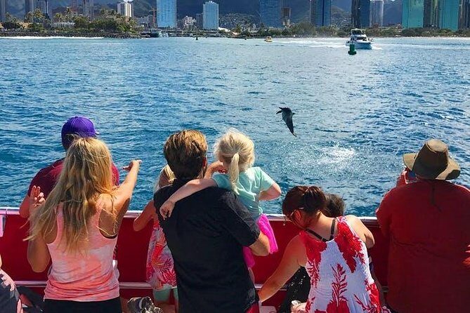 Waikiki Beach Glass Bottom Boat Cruise - Analyzing the Value and Overall Experience