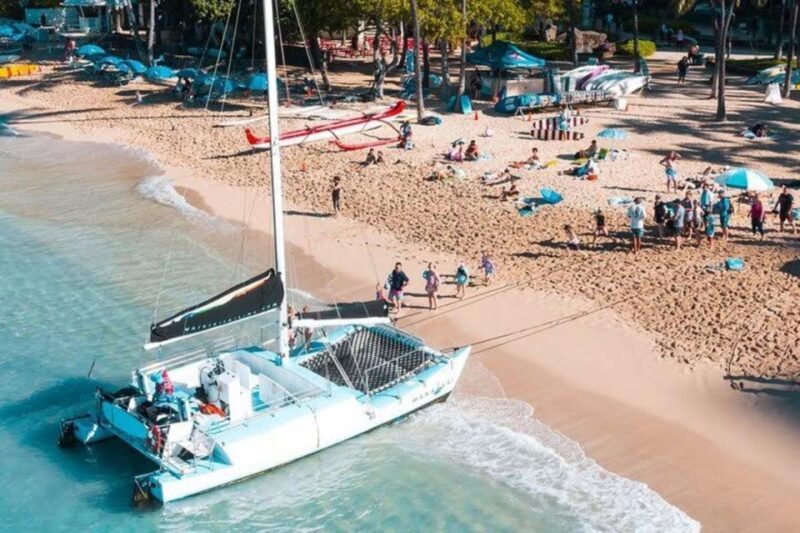 Waikiki Beach: Turtle Snorkeling and Sailing on Hwea - What It’s Like on the Water: The Experience