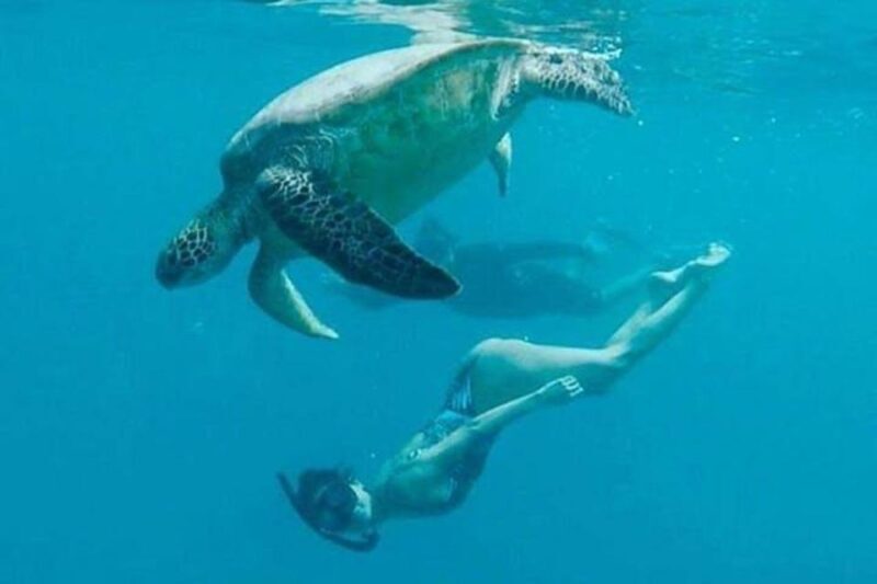 Waikiki Beach: Turtle Snorkeling and Sailing on Hwea - Frequently Asked Questions