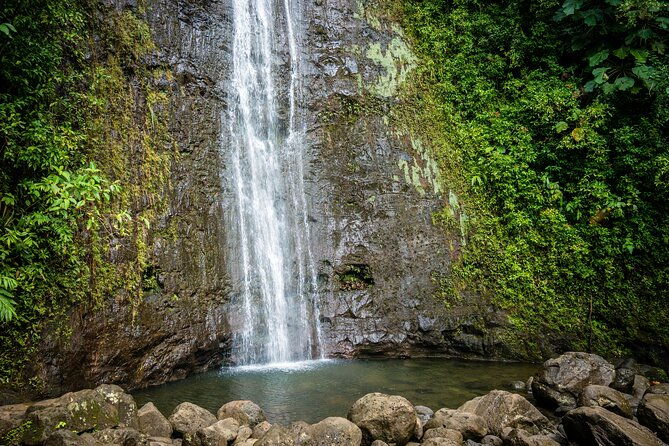 waikiki-electric-bike-self-guided-tour-manoa-falls-bike-and-hike