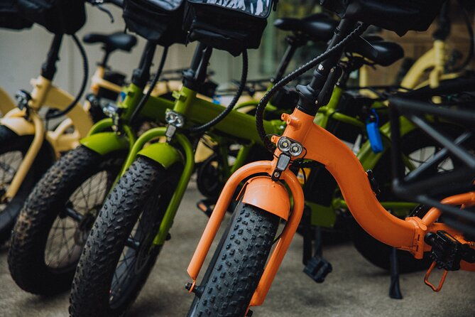 waikiki-electric-bike-self-guided-tour-manoa-falls-bike-and-hike