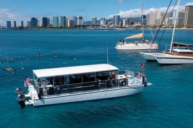 Waikiki Green Sea Turtle Snorkeling Tour - Boat Excursion - Final Thoughts