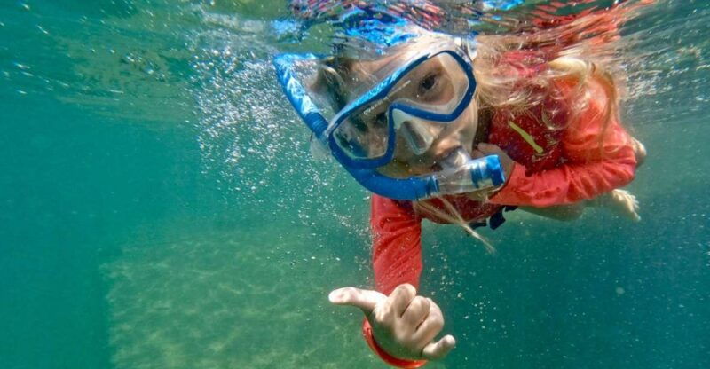 waikiki-honolulu-beginner-snorkeling-tour-with-videos