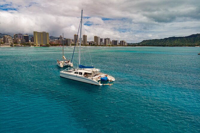 waikiki-panorama-sail-search-for-hawaiian-sea-turtles-2