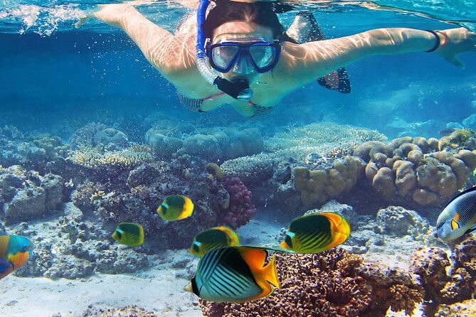 waikiki-sail-and-snorkel-adventure-best-of-hawaii