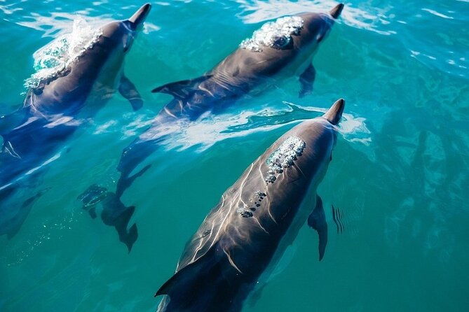waikiki-sail-and-snorkel-adventure-best-of-hawaii