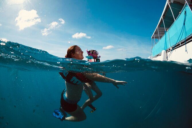 Waikiki Snorkel Tour - An Overview of the Waikiki Snorkel Tour Experience