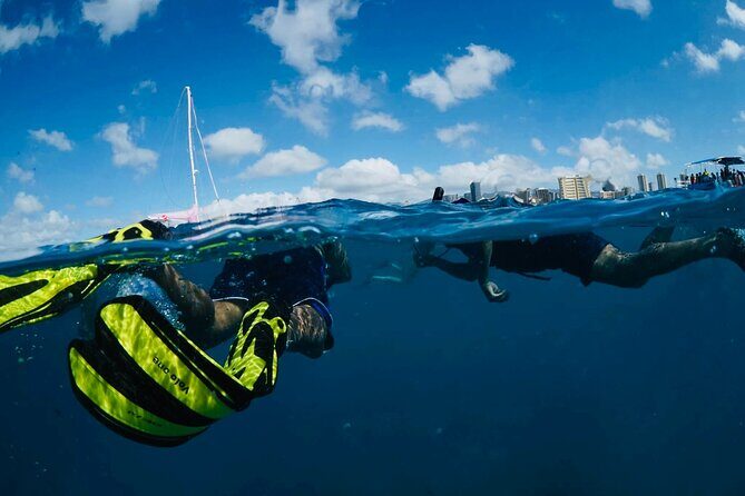 Waikiki Snorkel Tour - Practical Details: What You Need to Know