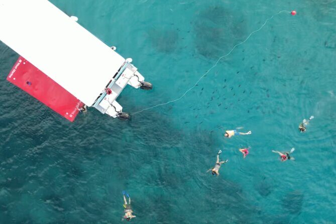 Waikiki Snorkel Tour - Who Will Love This Tour?