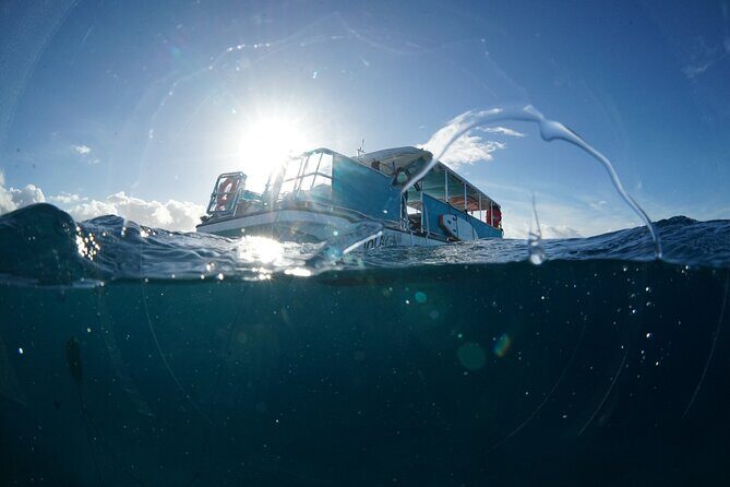 Waikiki Snorkel Tour - FAQ