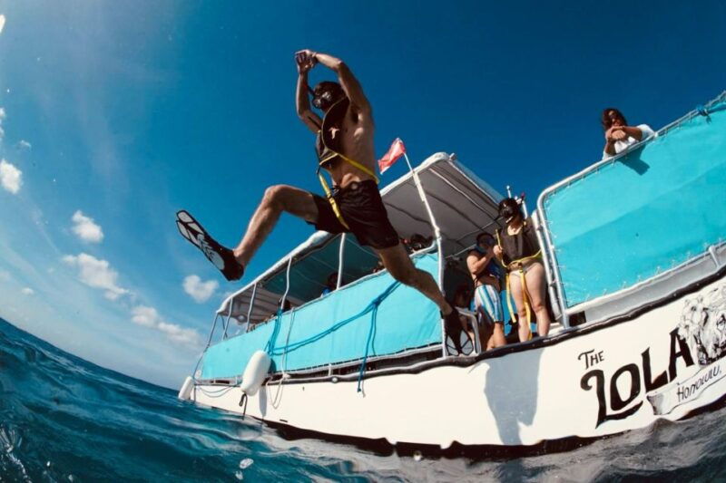 waikiki-snorkel-tour-with-hawaiian-green-sea-turtles
