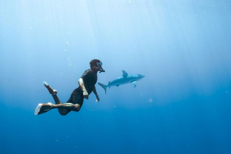 waikiki-snorkel-tour-with-hawaiian-green-sea-turtles