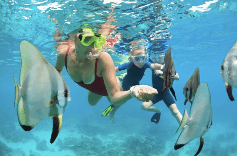 Waikiki Turtle Snorkel Adventure - FAQ