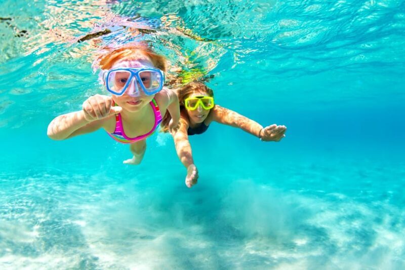 Waikiki: Turtle Snorkeling Cruise with 20ft Jumping Platform - FAQ