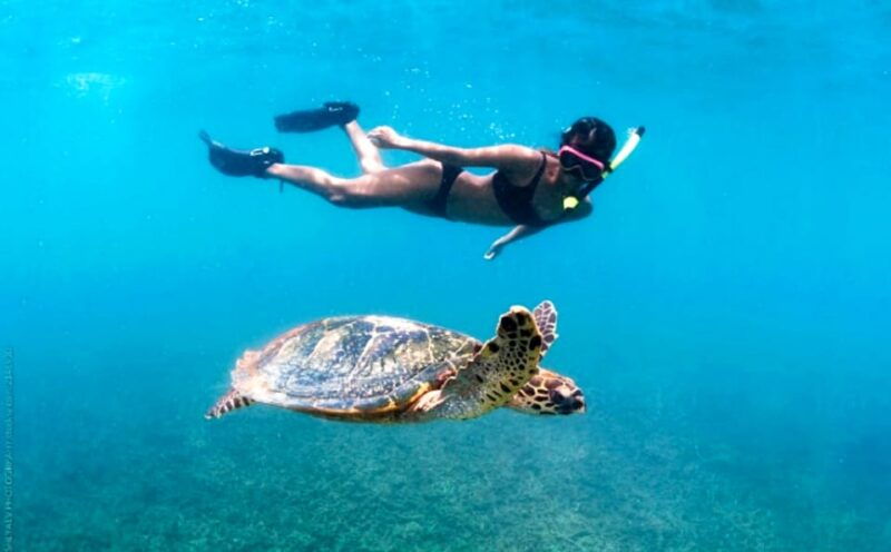 waikiki-turtle-snorkeling-cruise-with-20ft-jumping-platform