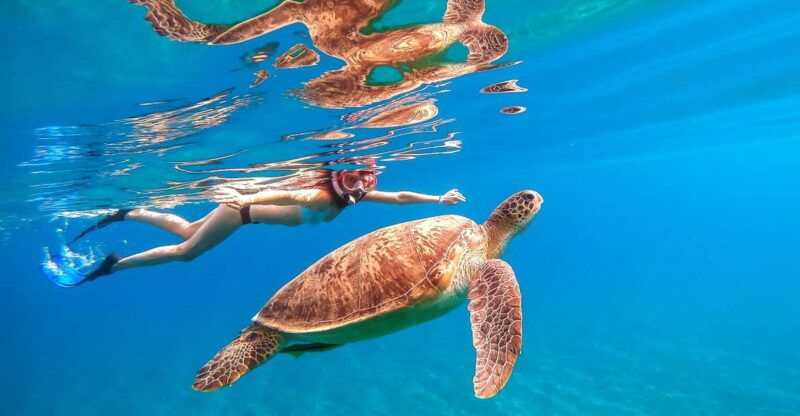 waikiki-turtle-snorkeling-cruise-with-20ft-jumping-platform