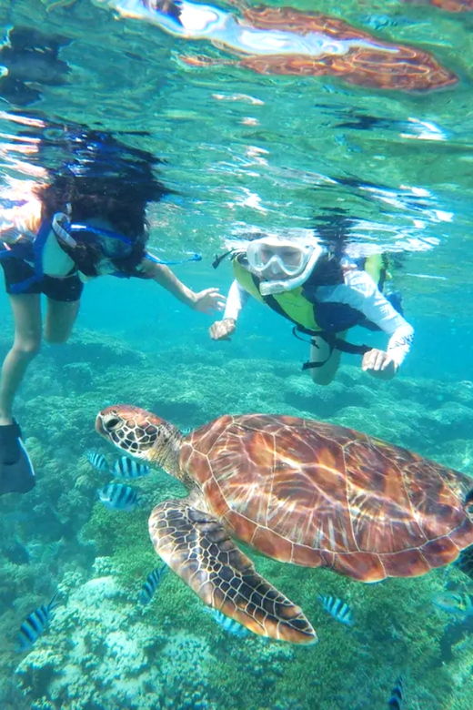 waikiki-turtle-snorkeling-cruise-with-20ft-jumping-platform