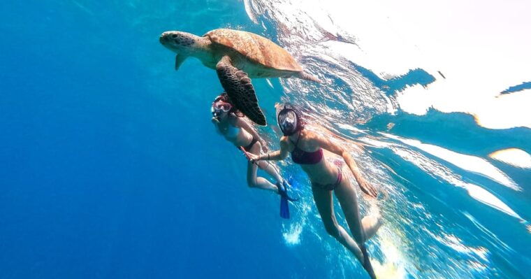 waikiki-turtle-snorkeling-cruise-with-20ft-jumping-platform