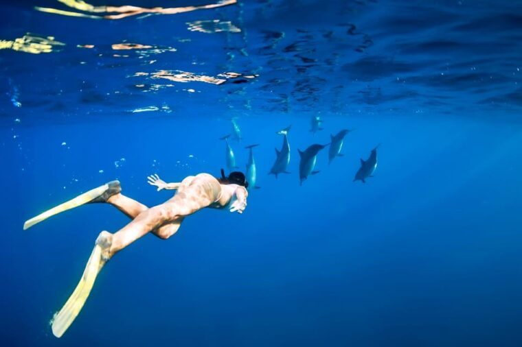 waikiki-turtle-snorkeling-cruise-with-20ft-jumping-platform