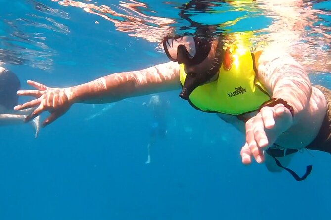 waikiki-turtle-snorkeling-tour