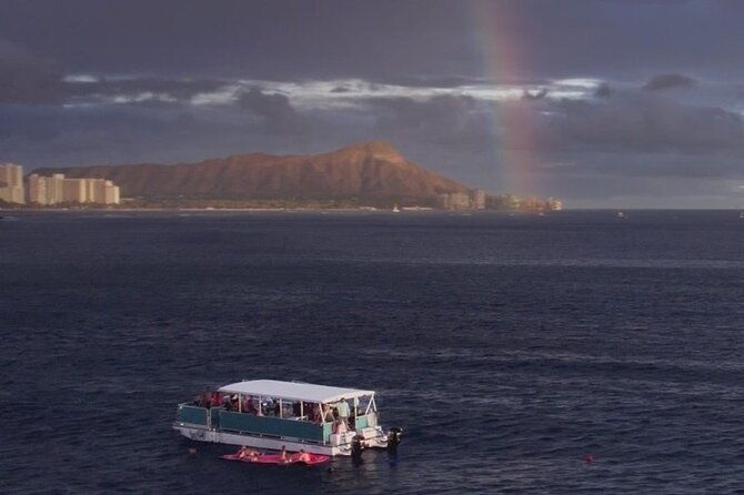waikiki-whale-watching-cruise