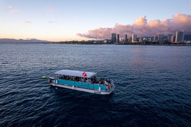 waikiki-whale-watching-cruise