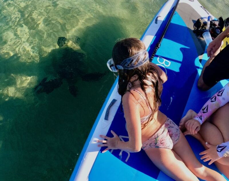 wailea-beach-snorkeling-tour-for-non-swimmers-beginners