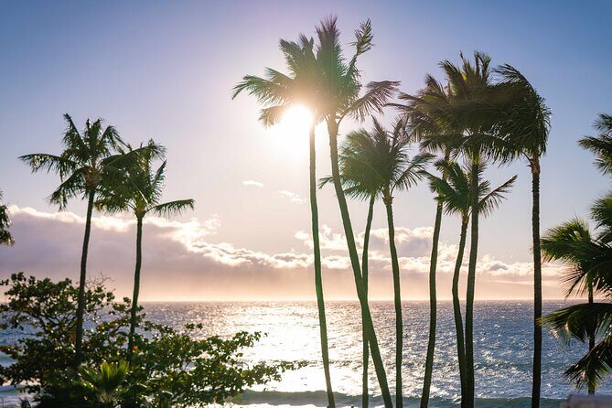 Wailele Luau Including Fire and Knife Performance Plus Dinner - A Closer Look at the Itinerary and Experience