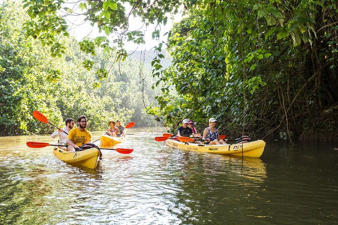 wailua-river-paddle