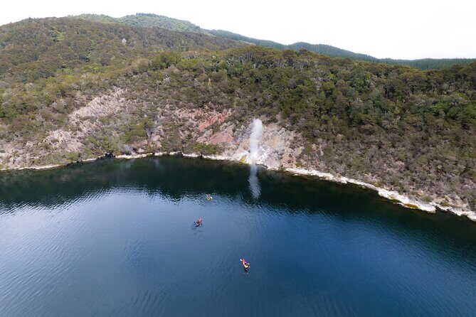 Waimangu Valley Walk and Steaming Cliffs Kayak Tour - Why This Tour Is a Great Value