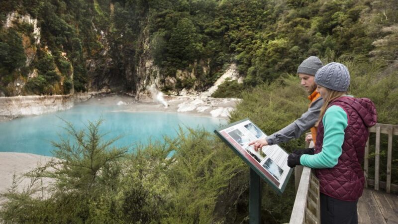 Waimangu: Volcanic Valley Walk and Lake Rotomahana Cruise - Why This Tour Is Worth Considering