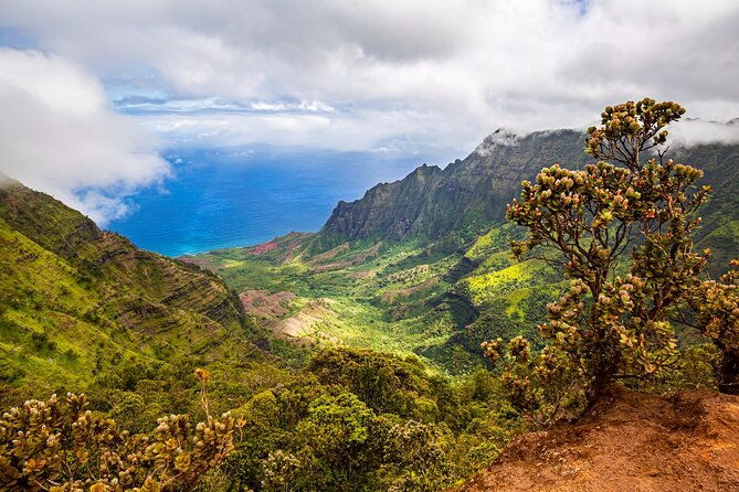 waimea-canyon-private-tour-with-local-guide-from-kauai