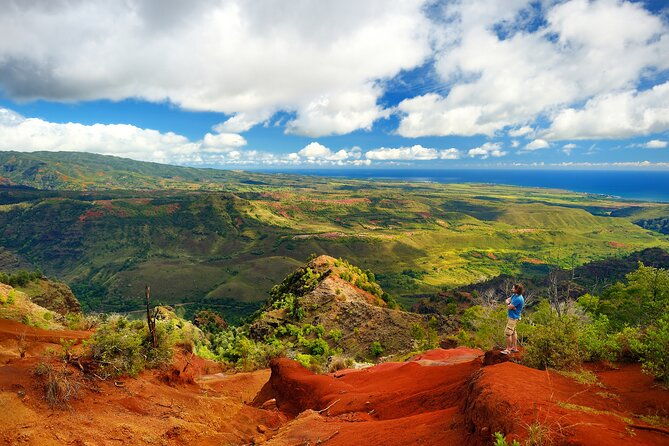 waimea-canyon-private-tour-with-local-guide-from-kauai