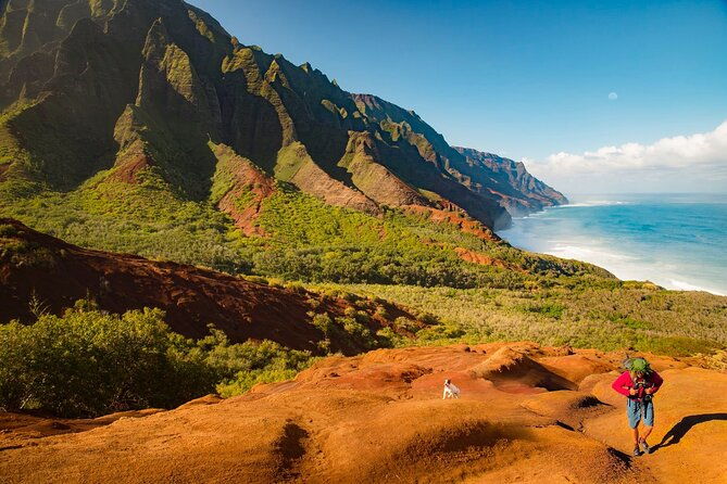 waimea-canyon-private-tour-with-local-guide-from-kauai