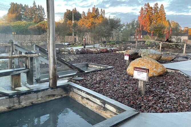 Waiomio Kawiti Glowworm Cave & Ngawha Hot Springs day tour - Who Is This Tour Best For?