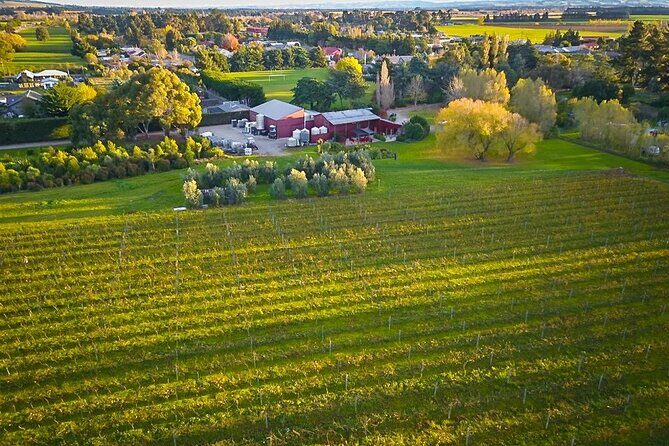 Waipara Valley Winery Tour Wine Tastings and Scenic Views - The Sum Up
