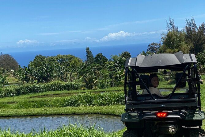 Waipio on Horseback: Mountain Ocean Views Working Cattle Ranch - An In-Depth Look at the Waipio on Horseback Tour