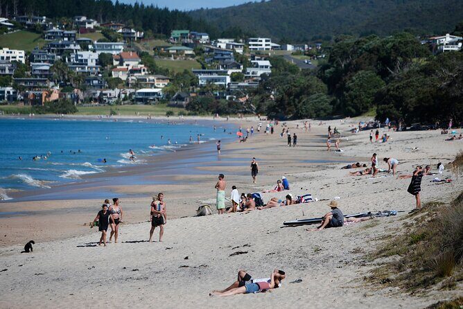 Waipu Milkyway Cave and East Coast Day Tour from Auckland - Key Points